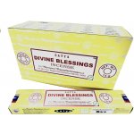 Satya indické vonné tyčinky Divine Blessings 15 g – Hledejceny.cz