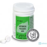 AKH Artemisia vulgaris 60 tablet – Hledejceny.cz