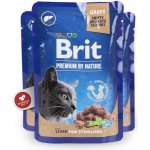 Brit Premium Cat Pouches Liver for Sterilized 100 g – Zboží Mobilmania