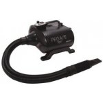Pegase MAESTRO 3000W ChD – Zboží Dáma