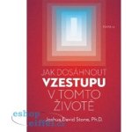 Jak dosáhnout vzestupu v tomto životě - Stein, Joshua David – Zbozi.Blesk.cz