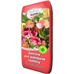 Rašelina Soběslav Zemina pro pokojové rostliny 40 l – Hledejceny.cz