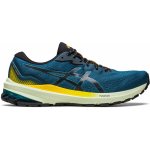 Asics GT-1000 11 TR 1011B573-750 – Hledejceny.cz