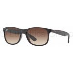 Ray-Ban RB4202 6073 13 – Hledejceny.cz