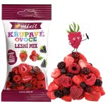 Mixit Křupavé ovoce do kapsy Lesní mix 20 g – Sleviste.cz