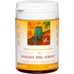 Posílení říše středu žaludeční a dvanácterníkové vředy 100 tablet – Hledejceny.cz