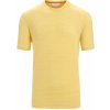 Pánské sportovní tričko Icebreaker Mens Merino Linen SS Tee Stripe SummerSnow