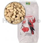 Avicentra Burské oříšky 10 kg – Zboží Dáma