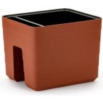 Plastia 1909753003 samozavlažovací truhlík Berberis na zábradlí 30 x 26 cm terakota – Zboží Mobilmania