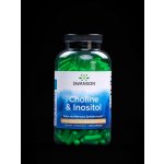 Swanson Cholin a Inositol 250 kapslí – Hledejceny.cz