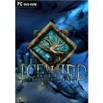 Icewind Dale (Enhanced Edition) – Hledejceny.cz