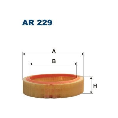 Vzduchový filtr FILTRON AR 229 (AR229)