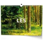 nástěnný Les 45cm x 32cm BNK22-27 2027 – Sleviste.cz