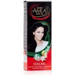 Dabur Amla chladivý olej na vlasy 200 ml – Hledejceny.cz