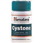 Himalaya Cystone 100 tablet – Zbozi.Blesk.cz