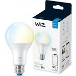 WiZ Tunable White 100W E27 A67 – Hledejceny.cz