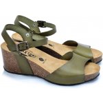 Plakton 885922 zelená – Hledejceny.cz