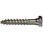 Vruty RAPI-TEC DUAL 10x60mm šestihranná hlava TX40 galvanický zinek – Hledejceny.cz