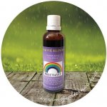 Fructavit elixír tinktura 50 ml – Hledejceny.cz