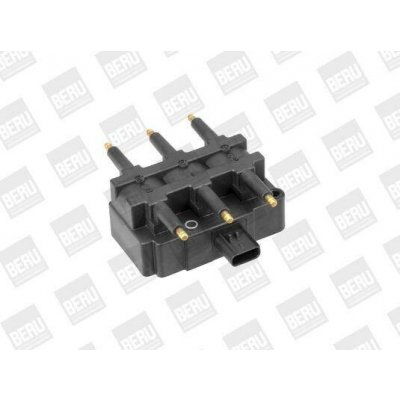 Zapalovací cívka BorgWarner (BERU) ZS455 – Hledejceny.cz