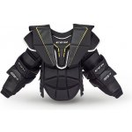 CCM Axis A1.5 junior – Zboží Mobilmania