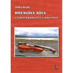 Houslová sóla v českých bluegrassových a country hitech + DVD – Hledejceny.cz