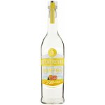 Becherovka Grapefruit Fusion 30% 0,5 l (holá láhev) – Hledejceny.cz