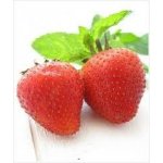 Dekang SILVER Strawberry mint 10 ml 6 mg – Hledejceny.cz