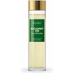 Scentics Aroma Olej EUCAMINT FIR 100 ml – Hledejceny.cz