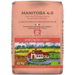 Antico Molino Rosso Manitoba bio 25 kg – Hledejceny.cz
