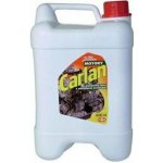 Carlan Čistič motorů 10 l – Sleviste.cz