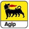 Eni-Agip Fork Oil SAE 10W 4 l