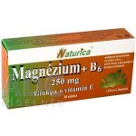 Naturica Magnezium + B6 + Ginkgo + vit.E 30 tablet – Hledejceny.cz