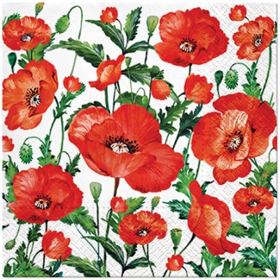 PAW ubrousky L Flanders Poppy 33x33cm – Zboží Dáma