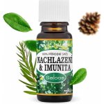 Saloos Esenciální olej Nachlazení & Imunita 10 ml – Zboží Mobilmania