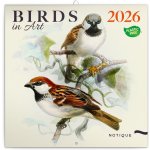 poznámkový Ptáčci 30 x 30 cm 2026 – Zboží Dáma