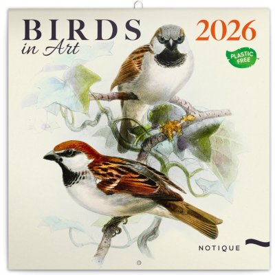 poznámkový Ptáčci 30 x 30 cm 2026 – Zboží Dáma