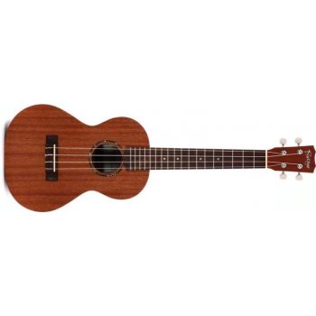 Cordoba Protégé U1T Tenor