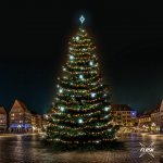 DECOLED LED světelná sada na vánoční stromy vysoké 21-23 m teplá bílá s Flash ledové dekory EFD05 – Hledejceny.cz