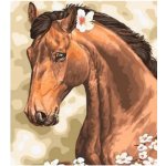 Norimpex Diamantové malování Kůň s květinami 30 x 40 cm – Hledejceny.cz