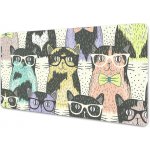 podložka na stůl Kočky brýle – Zboží Dáma