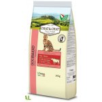 Chat & Chat Expert Adult Beef & Peas 14 kg – Sleviste.cz