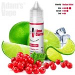 Adams Vape Shake & Vape Lime Currant 10 ml – Zboží Dáma