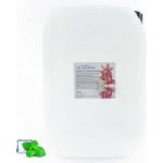 PM Aqualog esence do parních kabin ledová máta 814-010/D 10 l – Hledejceny.cz