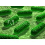 WEBLUX 53968782 Fototapeta papír E coli Bacteria. Bakterie E coli. rozměry 360 x 266 cm – Hledejceny.cz