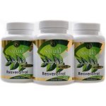 Golden Nature Resveratrol 98% 2 + 1 300 kapslí – Hledejceny.cz
