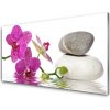 Obraz akrylový obraz Květ Kameny Umění 100x50 cm