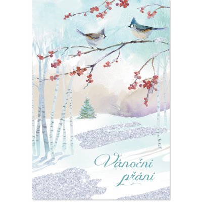 Albi Vánoční přání - Dvě sýkorky – Zboží Mobilmania