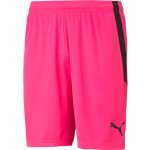 Puma teamLIGA Shorts – Zboží Mobilmania