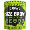 Real Pharm Size Grow 675 g